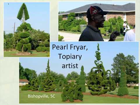 Video: Rostliny blokující hluk – tipy pro použití keřů a stromů jako protihlukové bariéry