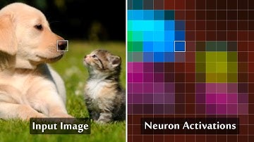 What’s Inside a Neural Network?