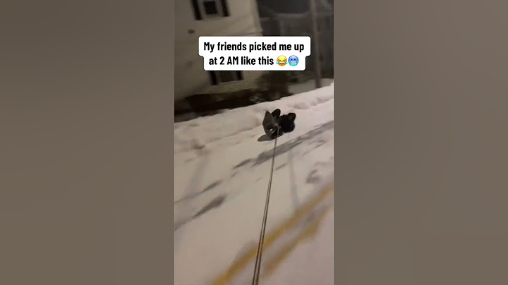 This looks so fun 😂 (via @rafboy_el/IG) | #shorts