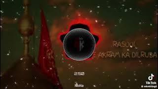 RASOOL E AKRAM KA DILRUBA..-/-.. SLOW NOHA..BY ALI SHNAWR NOHA.2025