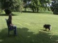 Helping a Dog Overcome Fear of People Helping a Dog Overcome Fear of People