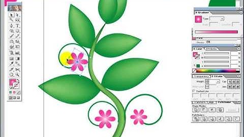 graphics design bangla tutorials 2021, Photoshop 7  (part 07)