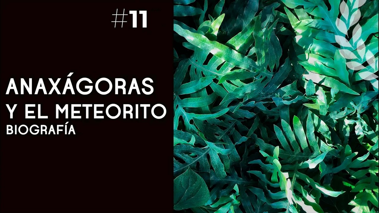 Anaxágoras y el meteorito: la condena por impiedad - Dra. Ana Minecan ...