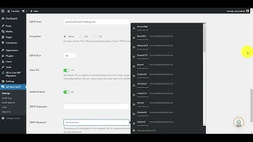 Configure WP Mail SMTP with cPanel Webmail