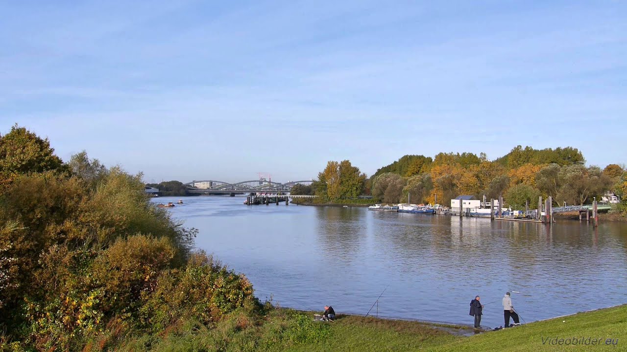 Hamburg, Rothenburgsort, Elbinsel Kaltehofe, Billwerder Bucht, Angler - Full HD (1080p) Videobild elbe crystal