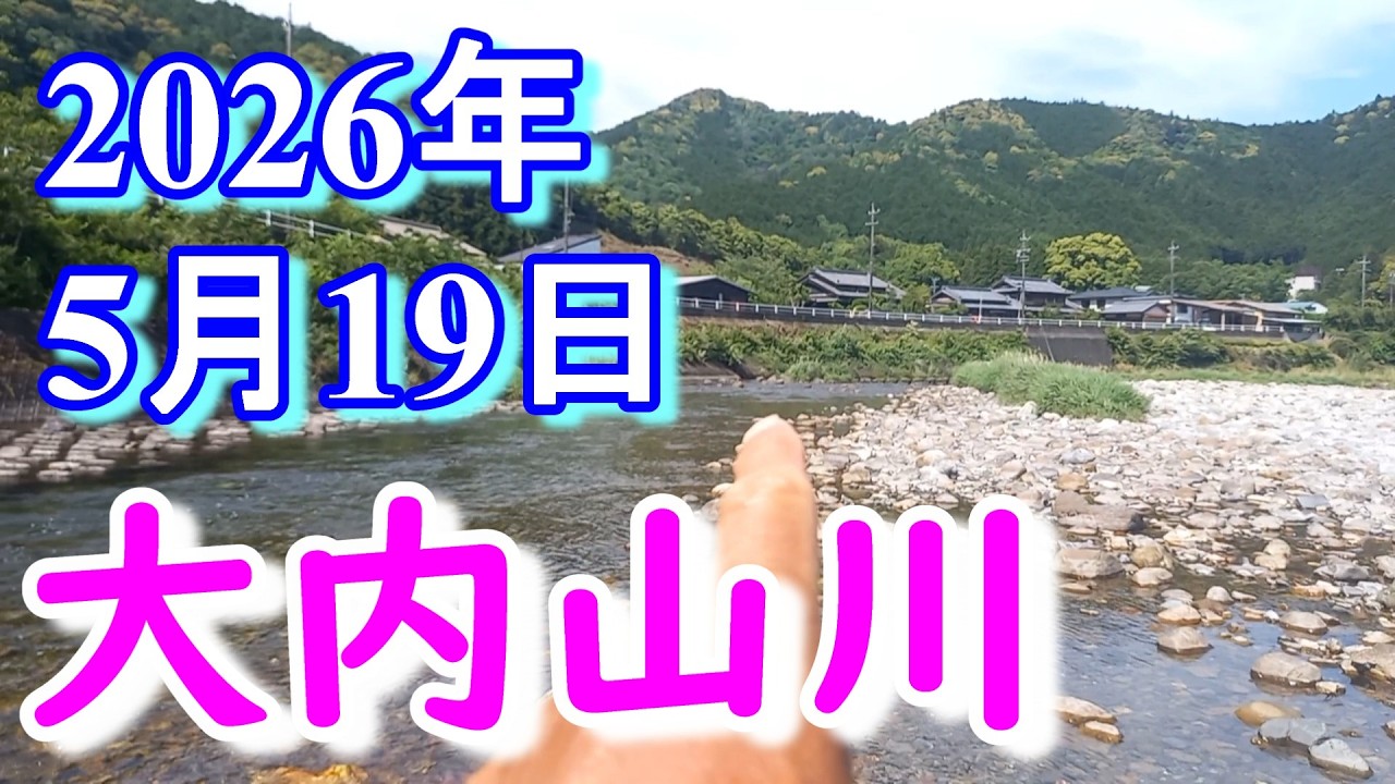 鮎釣り 背がかりDNA鮎を釣る 20㎝渇水 田垣外 大内山川 2026年