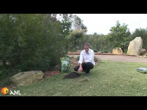 Turf Top Dress: How to Use