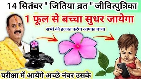 14 सितंबर जितिया व्रत के उपाय | मात्र एक फूल से सुधार जायेगा बच्चा | jitiya ke upay pradeep mishra 