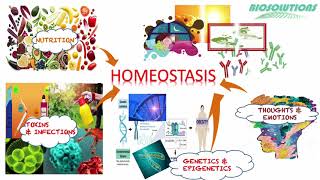 LEARN #HOMEOSTASIS , POSITIVE \& NEGATIVE FEEDBACK AND THE FACTORS AFFECTING HOMEOSTASIS IN 2 MINUTES