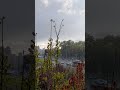8 мая 2024 года. Москва, Мичуринский проспект, Раменки. Майский снег всего лишь))