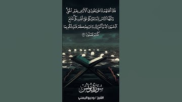 سورة يونس | Yūnus | آية 23 | الشيخ وديع اليمني