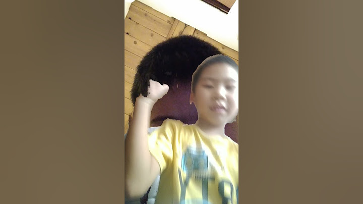 📽😀🚽