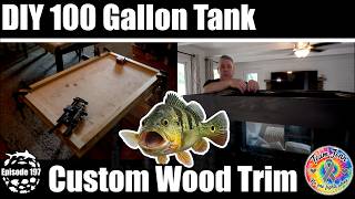 Building a 100 Gallon DIY Aquarium From Start to Finish | Cancer Benefit Auction