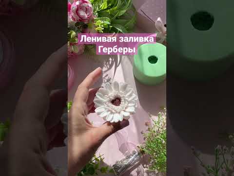 Ленивая заливка Герберы