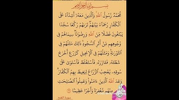 الاية 29 من سورة الفتح