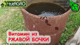 РЖАВАЯ ВОДА? Да! Да! Дааа! Использование воды для полива из ржавой бочки. Используйте ржу с пользой.