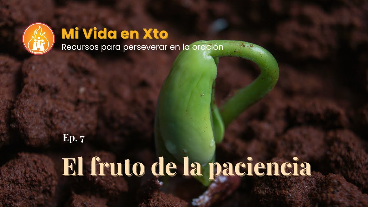 Mi Vida en Xto | Episodio 7 El fruto de la paciencia - YouTube