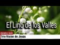 TRIO VISIÓN DE JESÚS - EL LIRIO DE LOS VALLES