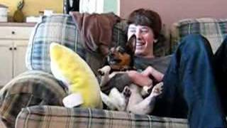 My dog crying