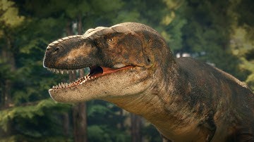 Tyrannosaurus rex | Lazy Morning | Paleo Animation