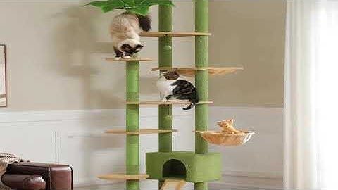 A must-have product! Cactus Cat Tree Floor to Ceiling Cat Tower Adjustable Height with Cat Condo C