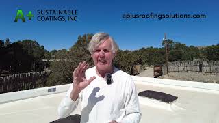 Watch This Before Buying a Silicone Flat Roof