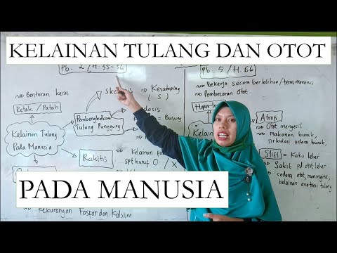 Video: Patah Tulang • Halaman 2