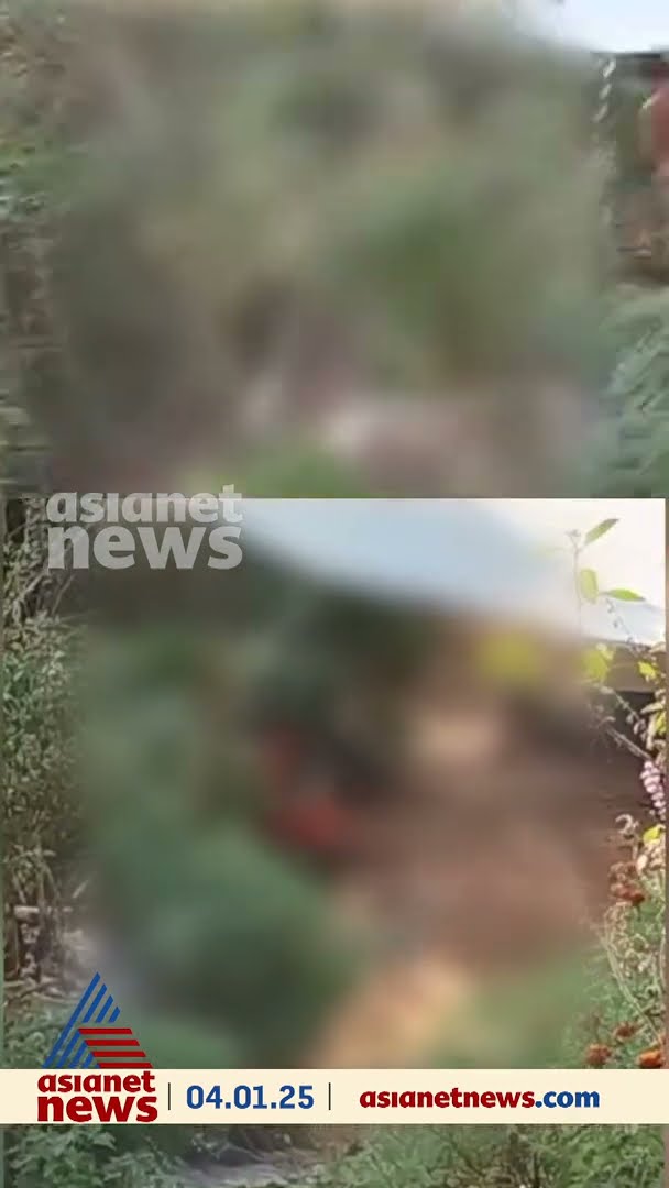വയനാട് പുൽപ്പള്ളിയിൽ മകൻ അമ്മയെ മർദ്ദിച്ച് ബോധരഹിതയാക്കി
