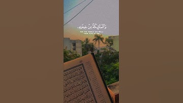 القرآن الکریم..سورة الرعد..بصوت القارئ عبدالرحمن المسعد #القرآن_الكريم #عبدالرحمن_مسعد 🖤🥀