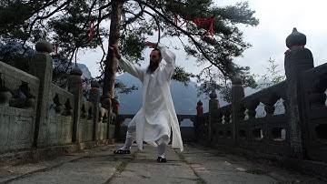 Wudang Taiyi Wuxing Quan 武当太乙五行拳