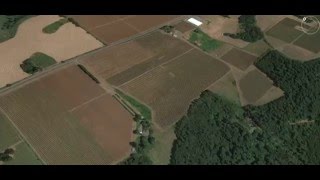 Seven Springs Vineyard An Introduction