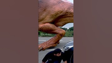 T Rex Chase - Dinosaur Run - PART 4 🦖 #shorts #trex