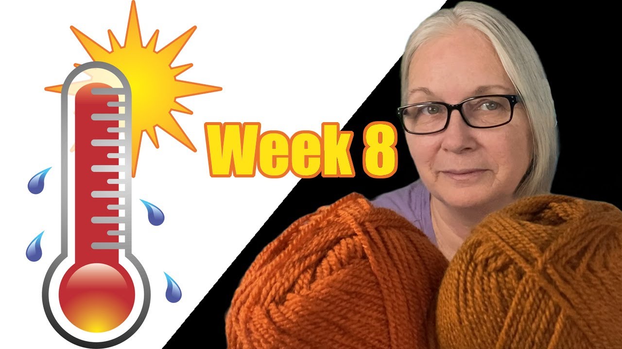2023 Crochet Temperature Blanket Weekly Progress Report YouTube