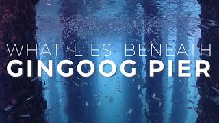 GINGOOG PIER  |  Scuba Diving  |  Olympus TG6