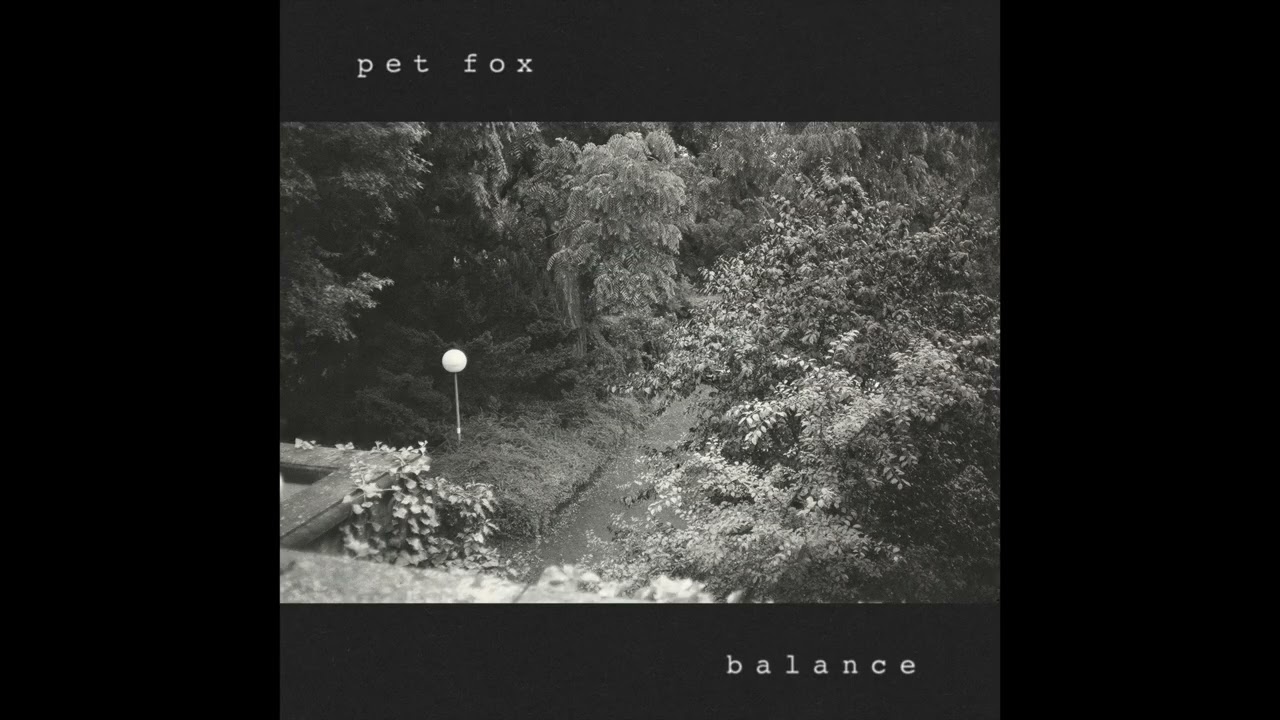 Mira Pet Fox - "Avoidant" (Official Audio) en YouTube Mira Pet Fox - "Avoidant" (Official Audio) en YouTube