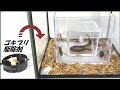 蟻戦争Ⅲ#139 「生物濃縮」してみたら、凄まじい結果になった。 編~biological concentration~