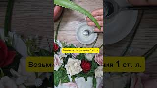 Чудодейственная маска с алоэ для лица в домашних условиях.#shorts#маскадлялица#увлажнение#смягчение