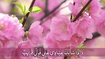 وَإِذَا سَأَلَكَ عِبَادِي عَنِّي فَإِنِّي قَرِيبٌ - أنس براق - سورة البقرة الآية :: 185-186 ::