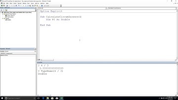 Microsoft Visual Basic - The Single and Double Data Types
