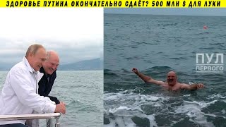 Почему Путин не смог поплавать с Лукашенко, и при чём здесь школьные туалеты