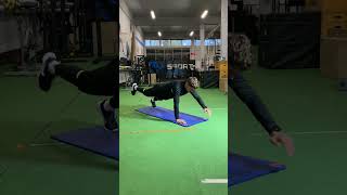 Contralateral Plank Hand Variations