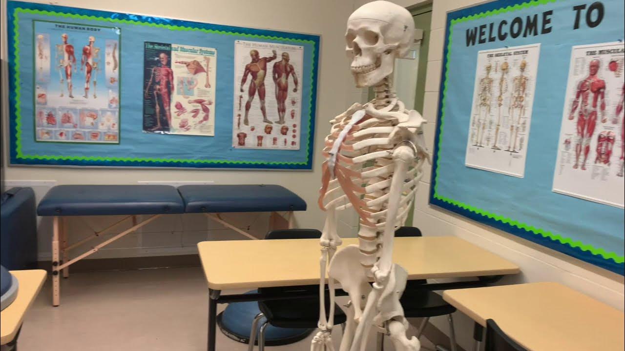 MCHS Sports Medicine 2021 YouTube