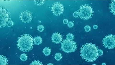 COVID-19 Corona Virus Loop Animated Background - Royalty Free Footage - Free motion background Loops
