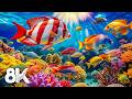 Beautiful Relaxing Music for Stress Relief &amp; Sleep 🐠 Underwater Tropical Fish, Coral Reefs