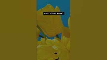 تلاوة جميلة للشيخ شيخ ابو بكر الشاطري 💛