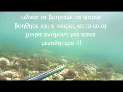 Βίντεο: Ιούνιος ψάρεμα