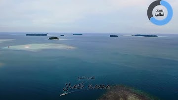 سورة الرحمن (محمد كمال)