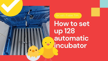 How to set up the 128 automatic incubator | Egg Hatching Tips