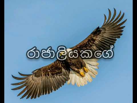 Rajaliyakage thatu matha sinhala catholic hymn   