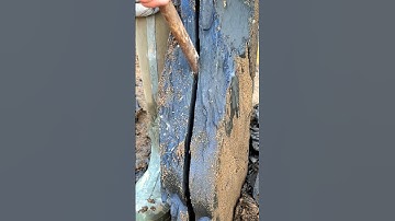 Shale Opened for Golden Shell Fossils!